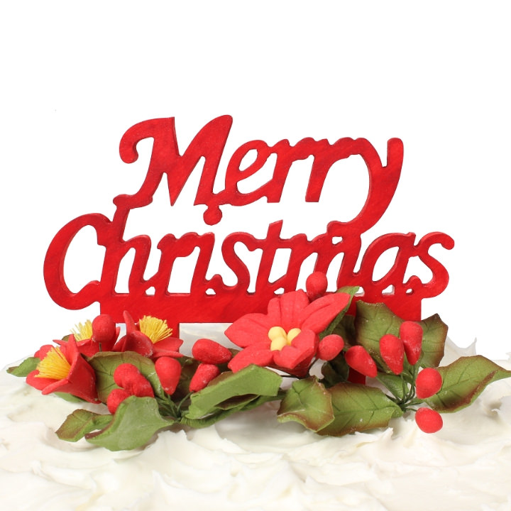 Christmas Cake Decorations