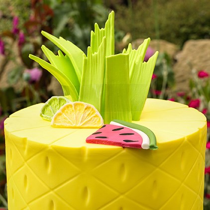 Party Themes - Tropical