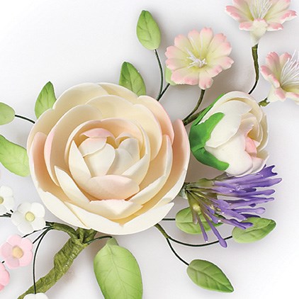 Celebration - Wedding