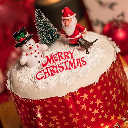 Seasonal - Christmas