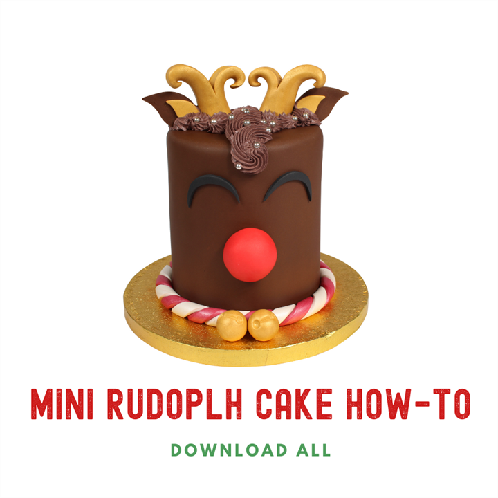 Mini Rudolph Cake How To 