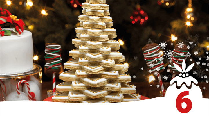 12 trends 6 banner small