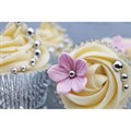 Purple Cupcakes 2-10mm Assorted Silver Pearls (incs 10mm chocolate) Alternative Image
