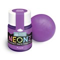 NEONZ Paste Food Colour Purple 20g Alternative Image