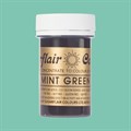 Sugarflair Paste Colours - Spectral Mint - 25g Alternative Image