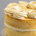 Culpitt Select Cake Mix - Madeira Vanilla Flavour - 1kg Alternative Image