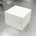 10" Cake Box & Plain Lid Combo - 10 Sets Alternative Image