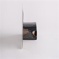 Rainbow Dust Lustre - Metallic Signature Gold - 3g Alternative Image