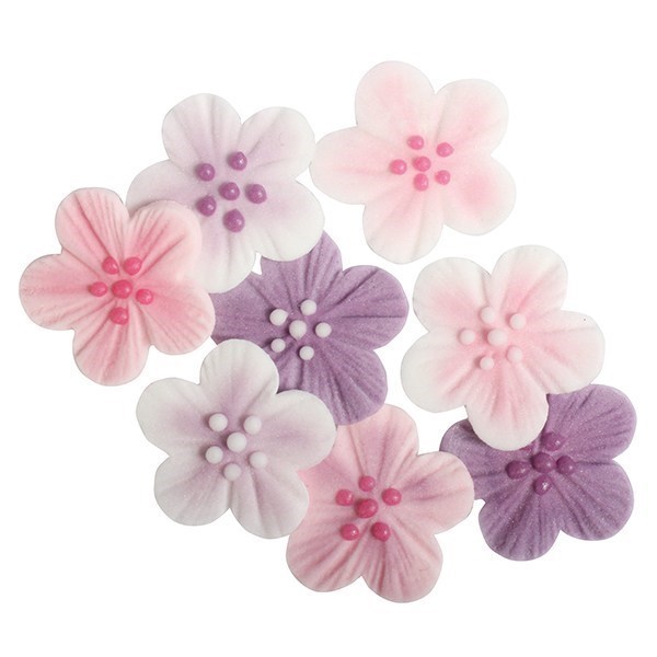 Assorted Brushed Flowers Sugar Pipings