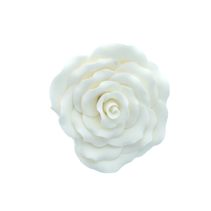 102mm White Sugar Rose