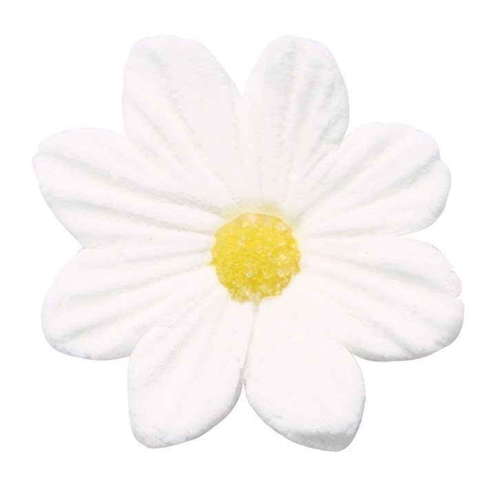 Sugar Daisy - White 20mm