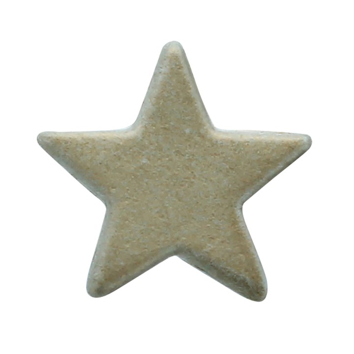Silver Lustre Sugar Star