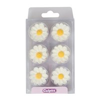 Sugar Daisies - single