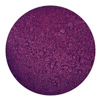 Honeyberry Freeze Dried Blueberry Powder 100g