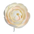Gumpaste Ranunculus Flowers 55mm