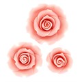 Pink Assorted Sizes SugarSoft® Roses - excl E171