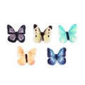 SugarSoft® Butterflies - excl E171
