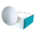 Confetti Teal 10" Windowed Cake Box and Double Thick Cake Card From Baked With Love