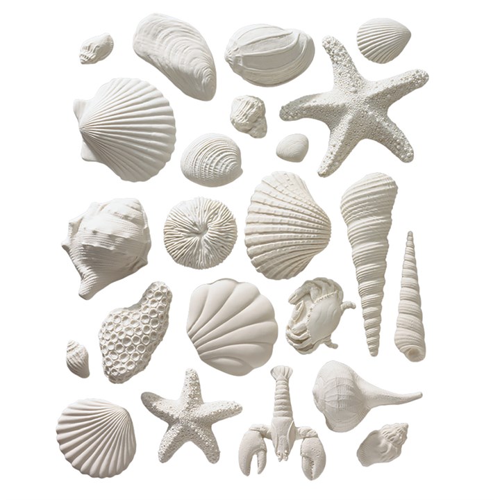 Gumpaste Sea Shells 23 piece